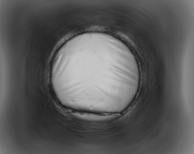 X0000083001413200703020855