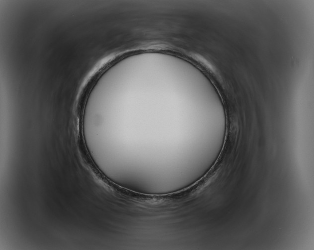 X0000083001414200703020855