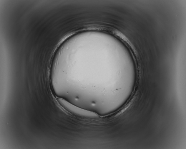 X0000083001417200703020855