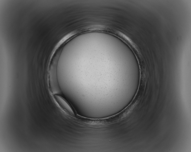 X0000083001418200703020855