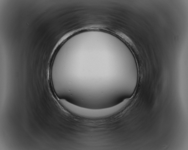 X0000083001420200703020855