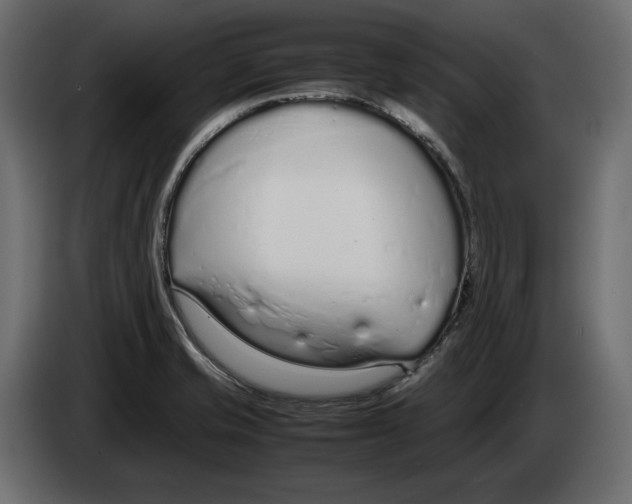 X0000083001421200703020855