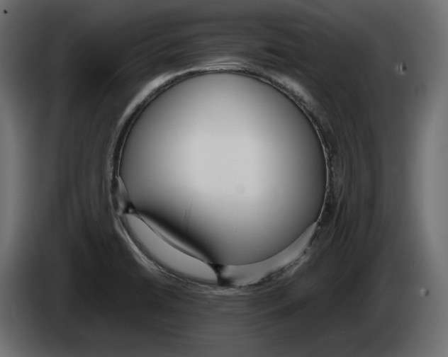 X0000083001422200703020855