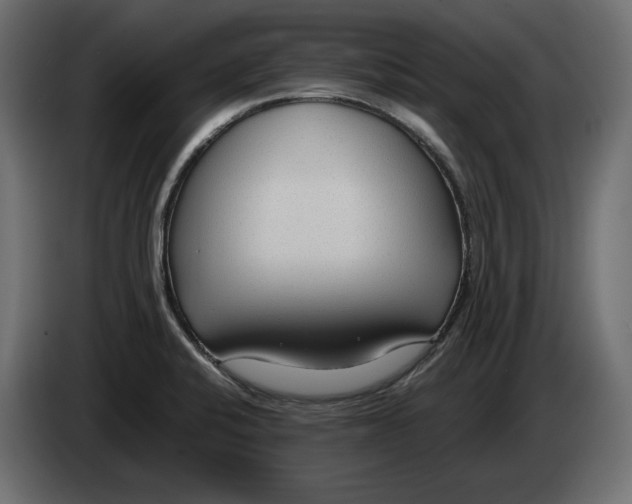 X0000083001424200703020855