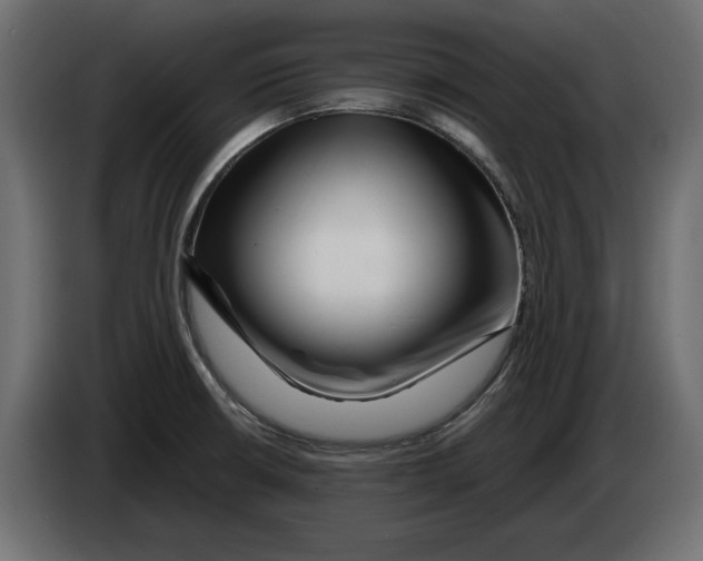 X0000083001426200703020855