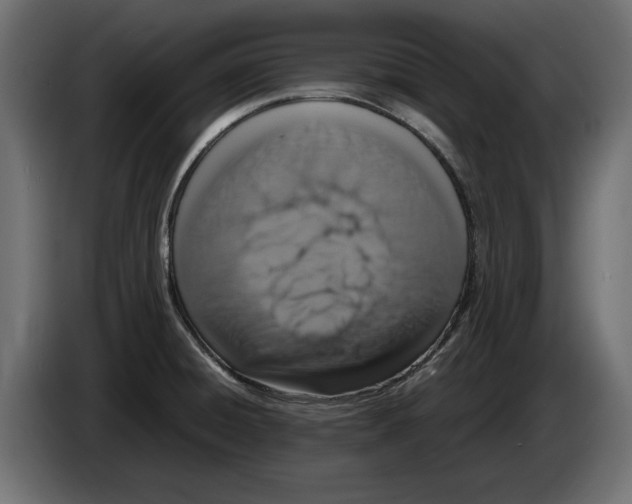 X0000083001428200703020855