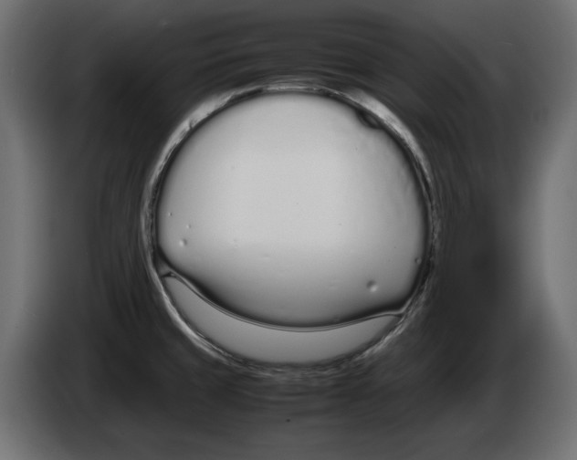 X0000083001429200703020855