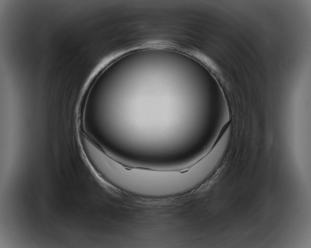 X0000083001430200703020855