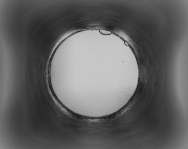 X0000083001431200703020855