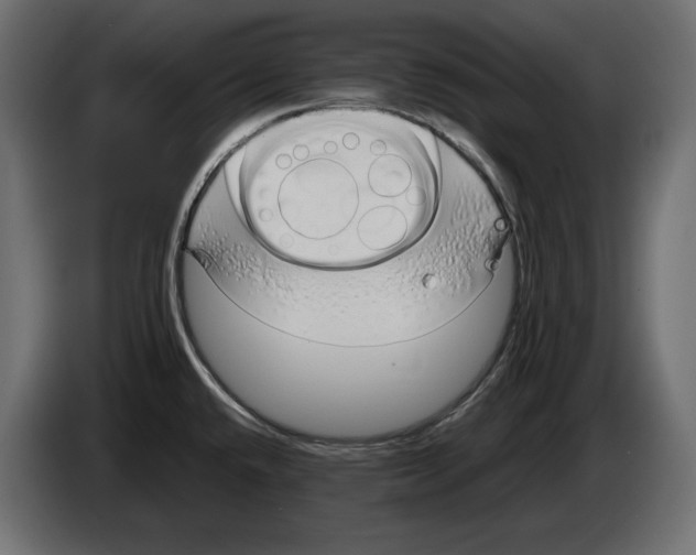 X0000083001432200703020855