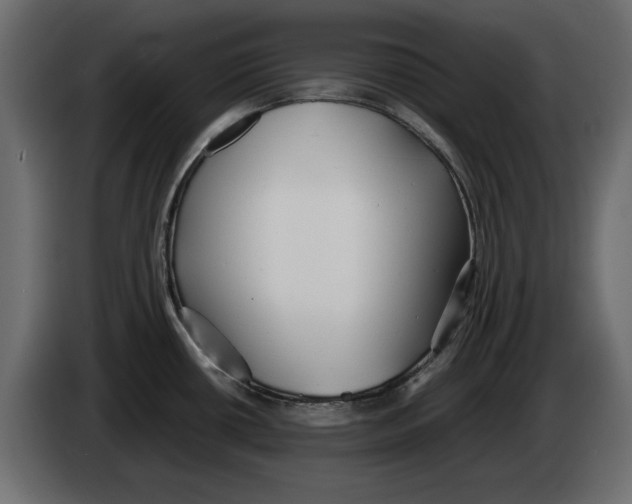 X0000083001434200703020855