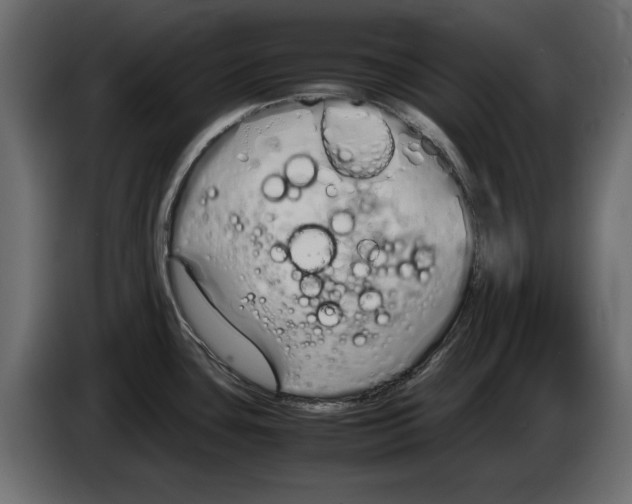 X0000083001435200703020855