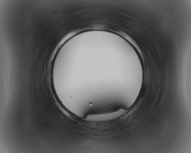 X0000083001437200703020855