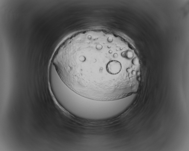 X0000083001439200703020855