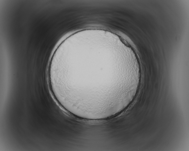 X0000083001440200703020855