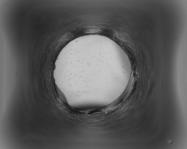 X0000083001441200703020855