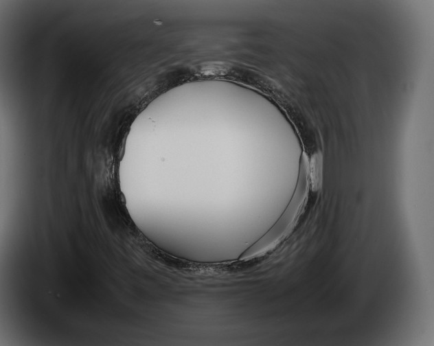 X0000083001443200703020855