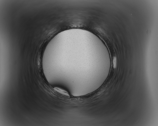 X0000083001444200703020855