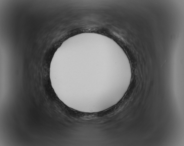 X0000083001447200703020854