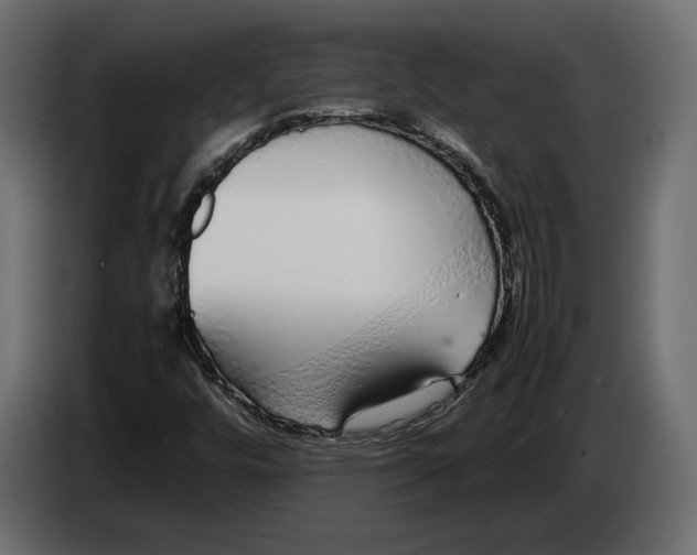 X0000083001448200703020854