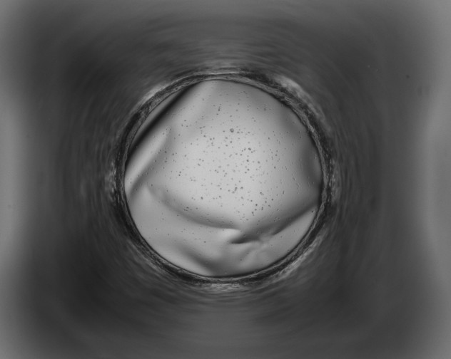 X0000083001449200703020854