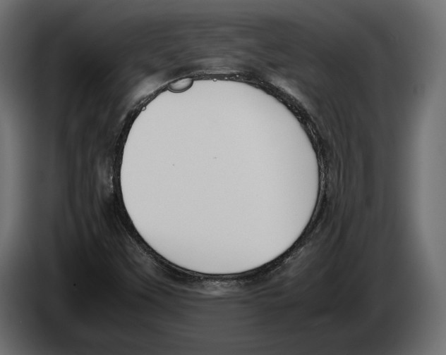 X0000083001451200703020854