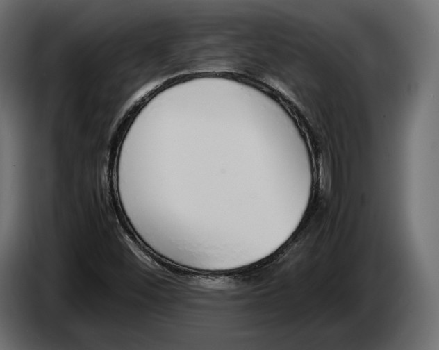 X0000083001452200703020854