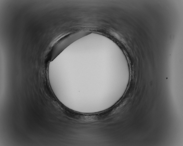 X0000083001453200703020854