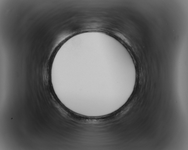 X0000083001458200703020854