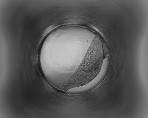 X0000083001459200703020854