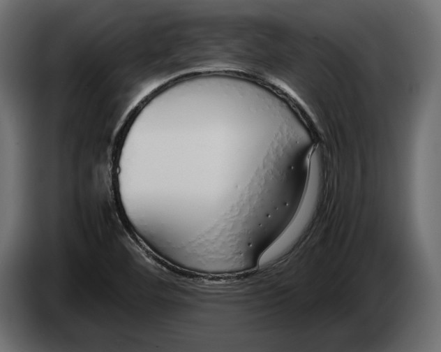 X0000083001460200703020854