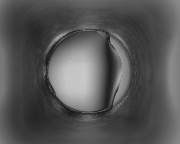 X0000083001461200703020854