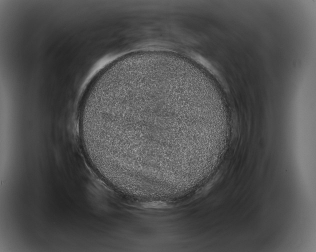 X0000083001462200703020854