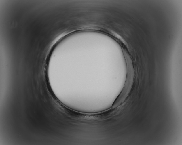 X0000083001463200703020854