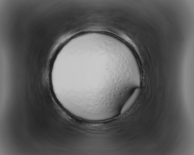 X0000083001464200703020854