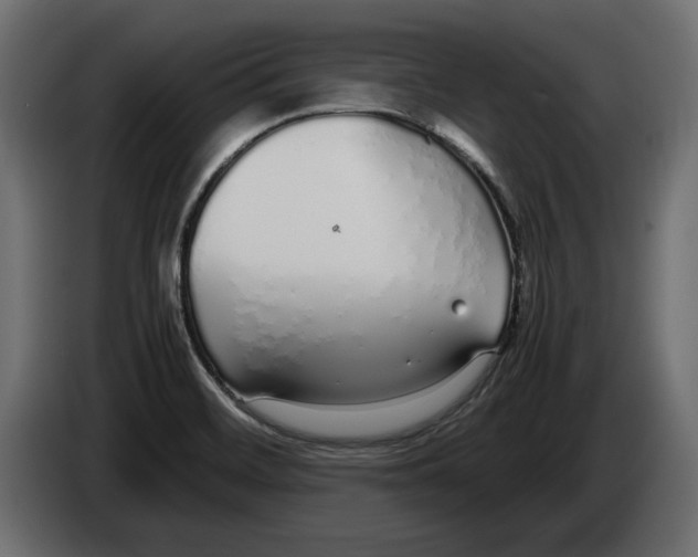 X0000083001468200703020854