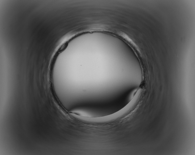 X0000083001469200703020854