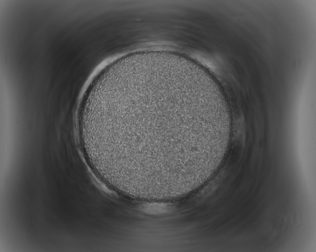 X0000083001470200703020854