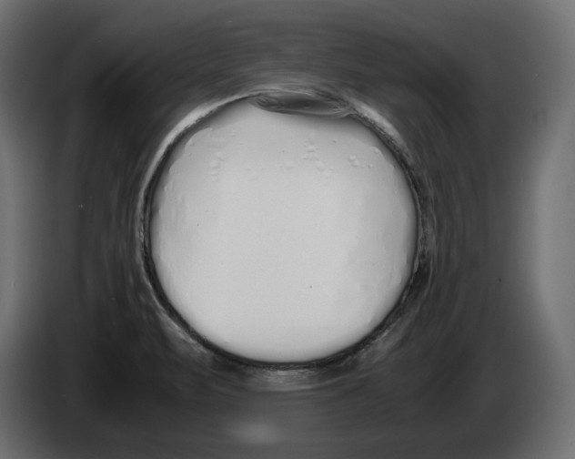 X0000083001471200703020854