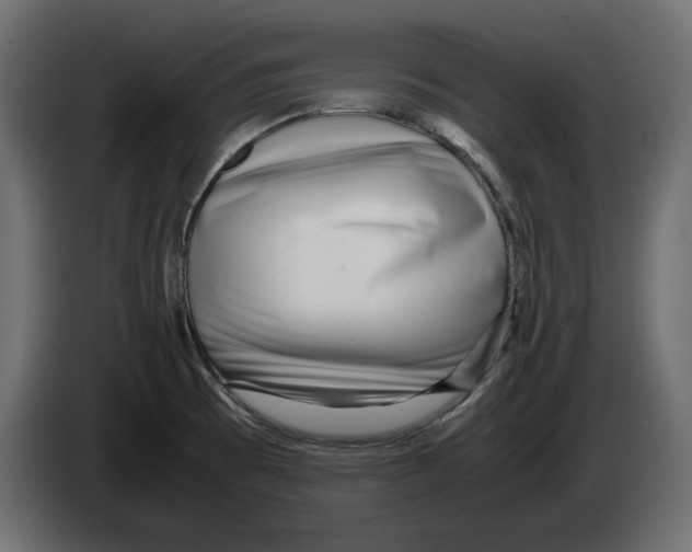 X0000083001473200703020854