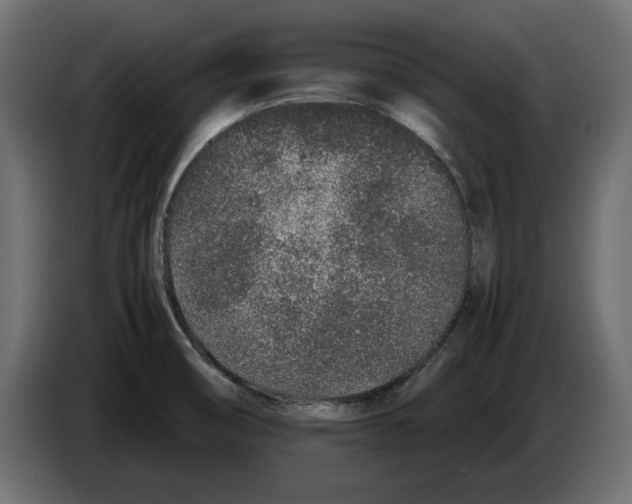 X0000083001474200703020854