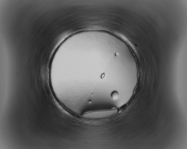 X0000083001476200703020854