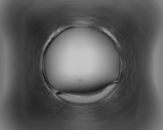 X0000083001477200703020854