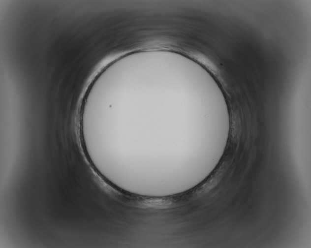 X0000083001478200703020854