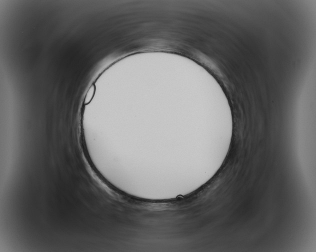 X0000083001479200703020854