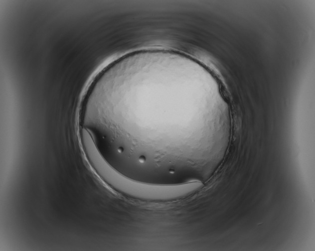 X0000083001480200703020854