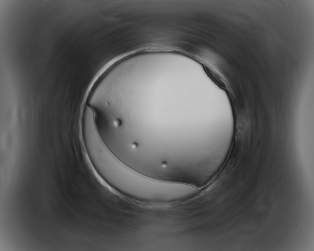 X0000083001484200703020854