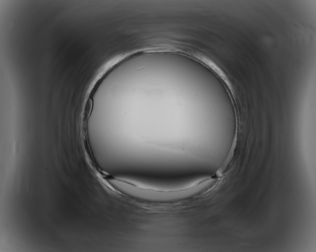 X0000083001485200703020854