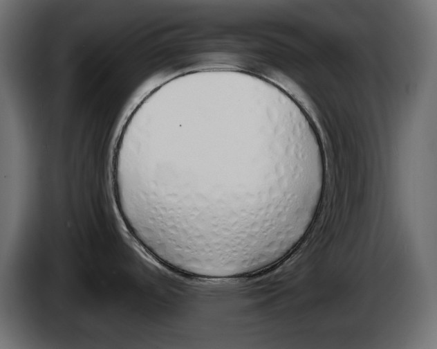 X0000083001488200703020854