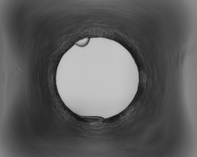 X0000083001489200703020853